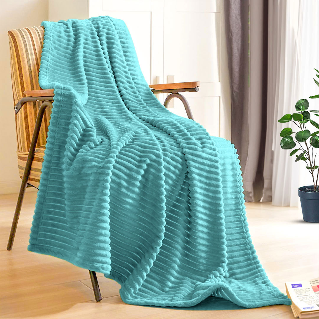 SOGA 2X Sky Blue Throw Blanket Warm Cozy Striped Pattern Thin Flannel Coverlet Fleece Bed Sofa Comforter - Blanket315X2 - Home - 7 - AU DEPOT SOGA Buy SOGA 2X Sky Blue Throw Blanket Warm Cozy Striped Pattern Thin Flannel Coverlet Fleece Bed Sofa Comforter Online - Home - 7 - AU Depot Free Shipping
