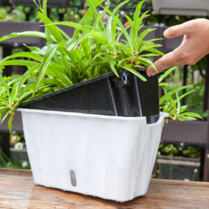 Buy SOGA 35cm Small White Rectangular Flowerpot Vegetable Herb Flower Outdoor Plastic Box Garden Decor Online - Home & Living - 2 - AU Depot Free Shipping
