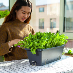 Buy SOGA 49.5cm Black Rectangular Planter Vegetable Herb Flower Outdoor Plastic Box with Holder Balcony Garden Decor Set of 5 Online - Garden, Tools & Hardware - 2 - AU Depot Free Shipping