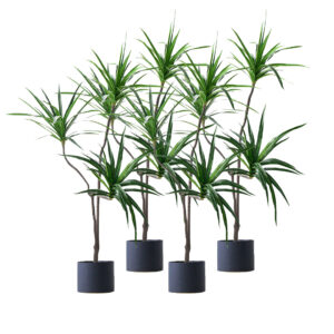 Buy SOGA 4X 180cm Green Artificial Indoor Brazlian Iron Tree Fake Plant Decorative 3 Heads Online - Home & Living - 1 - AU Depot Free Shipping