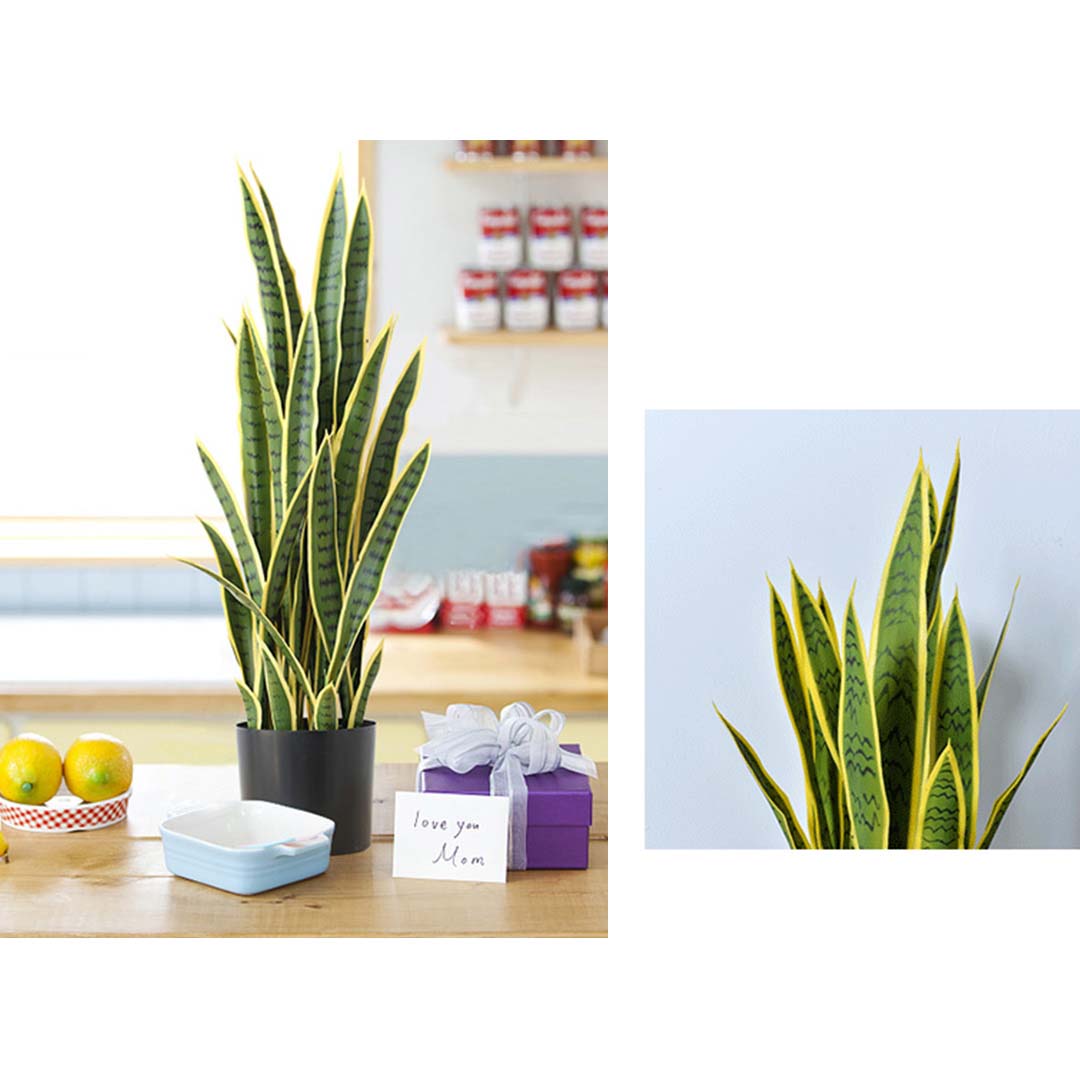 SOGA 50cm Artificial Indoor Yellow Edge Tiger Piran Fake Decoration Tree Flower Pot Plant - APlantFH0119Y - Home & Living - 3 - AU DEPOT SOGA Buy SOGA 50cm Artificial Indoor Yellow Edge Tiger Piran Fake Decoration Tree Flower Pot Plant Online - Home & Living - 3 - AU Depot Free Shipping