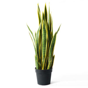 Buy SOGA 50cm Artificial Indoor Yellow Edge Tiger Piran Fake Decoration Tree Flower Pot Plant Online - Home & Living - 1 - AU Depot Free Shipping
