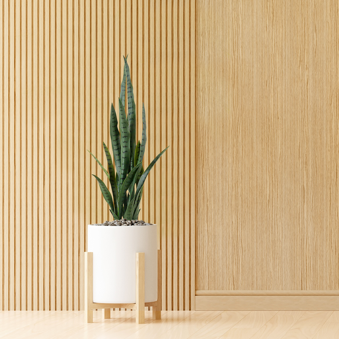 SOGA 95cm Sansevieria Snake Artificial Plants with Black Plastic Planter Greenery, Home Office Decor - APlantFH9510 - Home & Living - 3 - AU DEPOT SOGA Buy SOGA 95cm Sansevieria Snake Artificial Plants with Black Plastic Planter Greenery, Home Office Decor Online - Home & Living - 3 - AU Depot Free Shipping