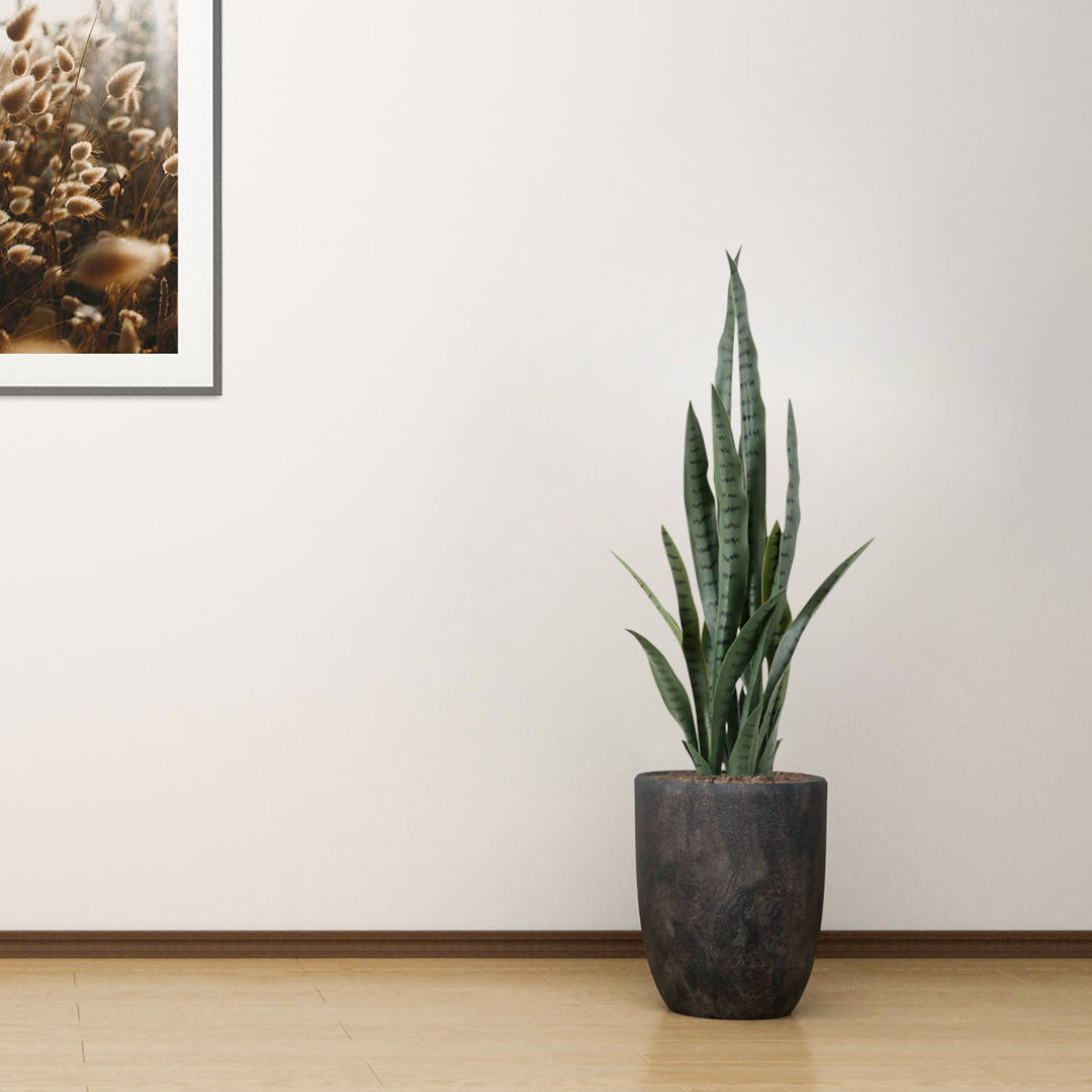SOGA 95cm Sansevieria Snake Artificial Plants with Black Plastic Planter Greenery, Home Office Decor - APlantFH9510 - Home & Living - 5 - AU DEPOT SOGA Buy SOGA 95cm Sansevieria Snake Artificial Plants with Black Plastic Planter Greenery, Home Office Decor Online - Home & Living - 5 - AU Depot Free Shipping