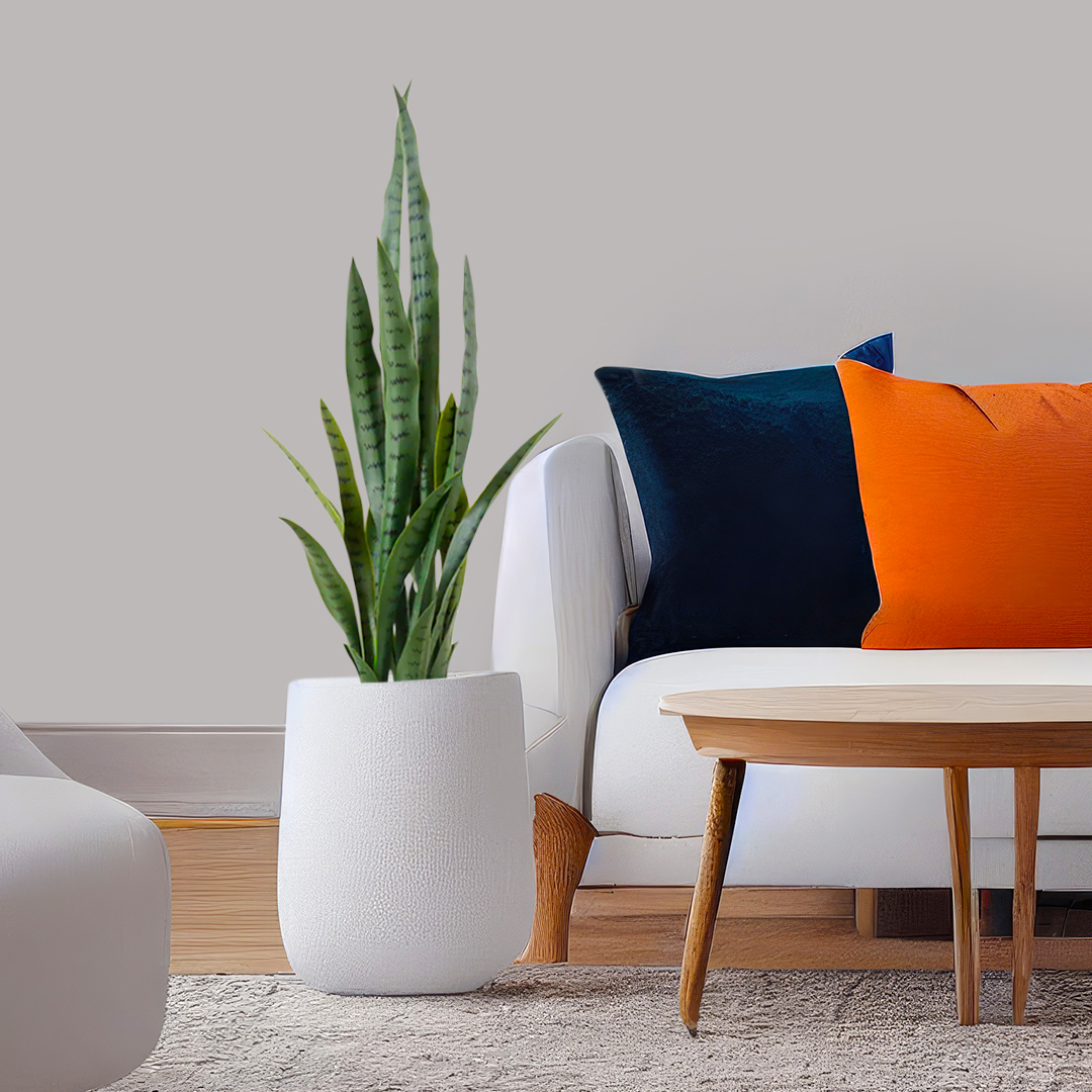 SOGA 95cm Sansevieria Snake Artificial Plants with Black Plastic Planter Greenery, Home Office Decor - APlantFH9510 - Home & Living - 6 - AU DEPOT SOGA Buy SOGA 95cm Sansevieria Snake Artificial Plants with Black Plastic Planter Greenery, Home Office Decor Online - Home & Living - 6 - AU Depot Free Shipping