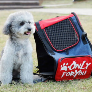 Buy SOGA Red Pet Carrier Backpack Breathable Mesh Portable Safety Travel Essentials Outdoor Bag Online - Pet Supplies - 2 - AU Depot Free Shipping